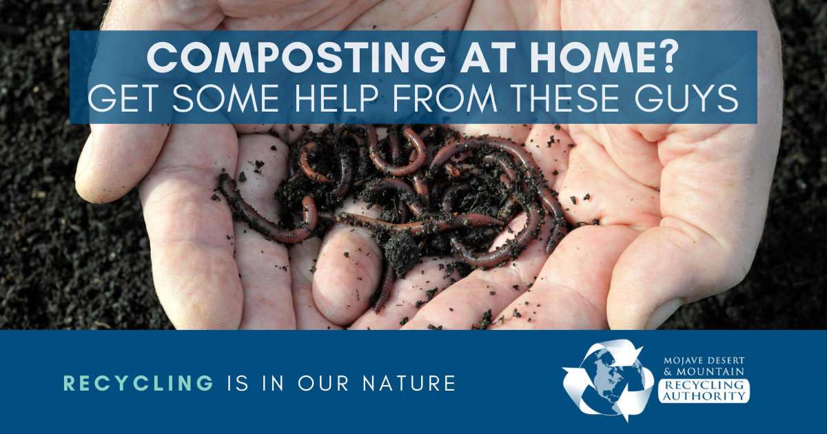 Vermicompost