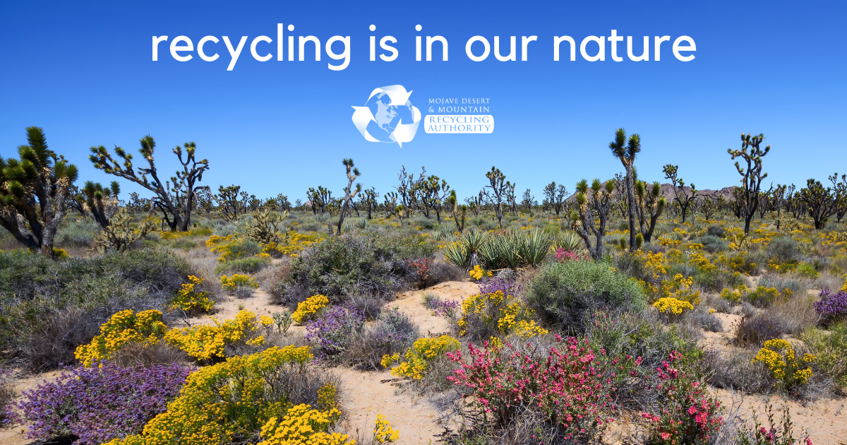 Desert Landscape with “recycling is in our nature” written in the sky