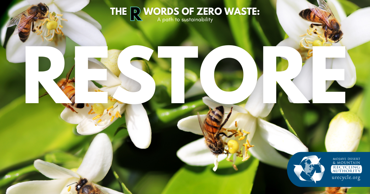Image of bees and flowers, “RESTORE” overlay