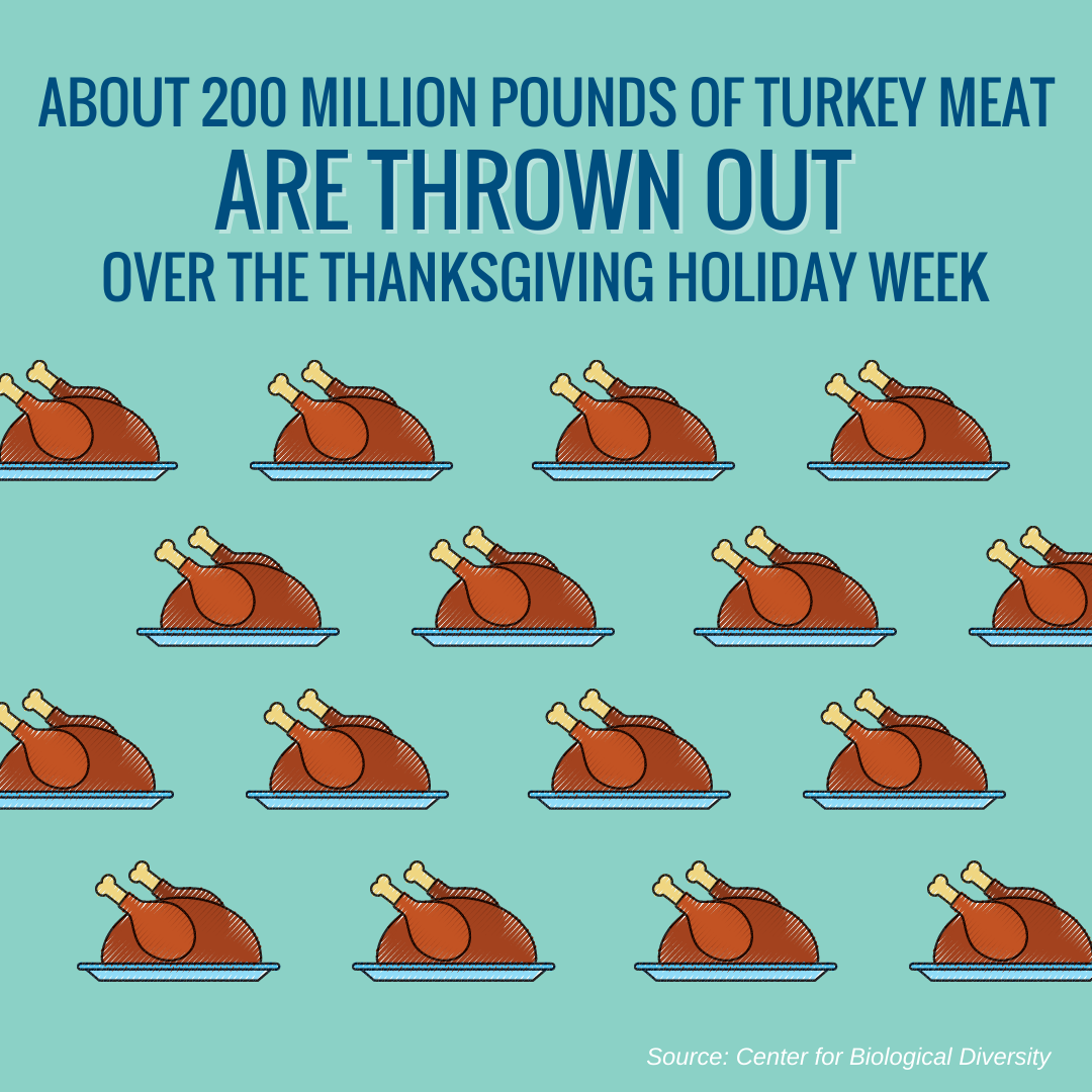 Image: Turkeys and headline about waste