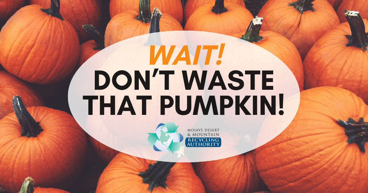 Lots of pumpkins in the background with “Wait Don’t Waste That Pumpkin” in a text overlay