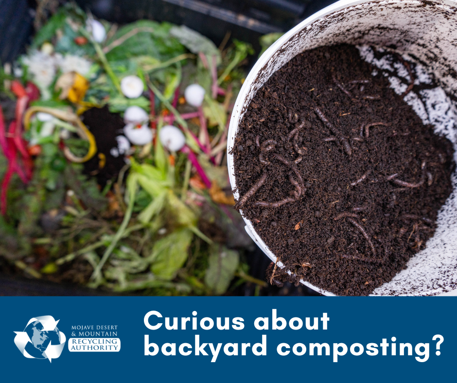 Picture of worm composting in action. Words: Curious about backyard composting?