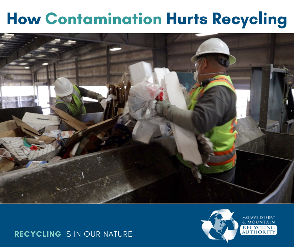 Workers sorting contamination from recycling line
