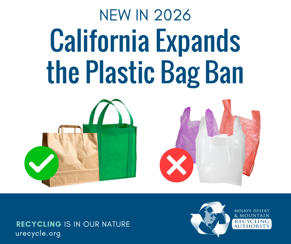 Image of Plastic Bags crossed out and paper/reusable bags with a check mark