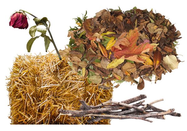 Brown Compostables