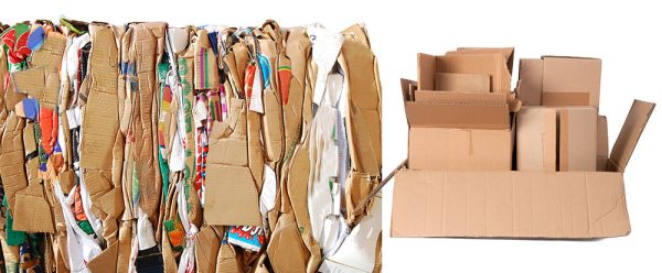 Cardboard Recycling Examples in Workplace