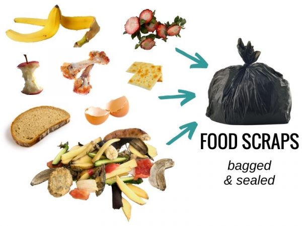 Food Scrap Examples Bagged
