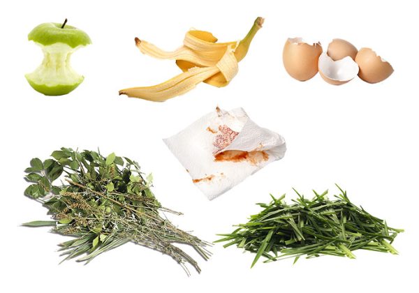 Green Compostables